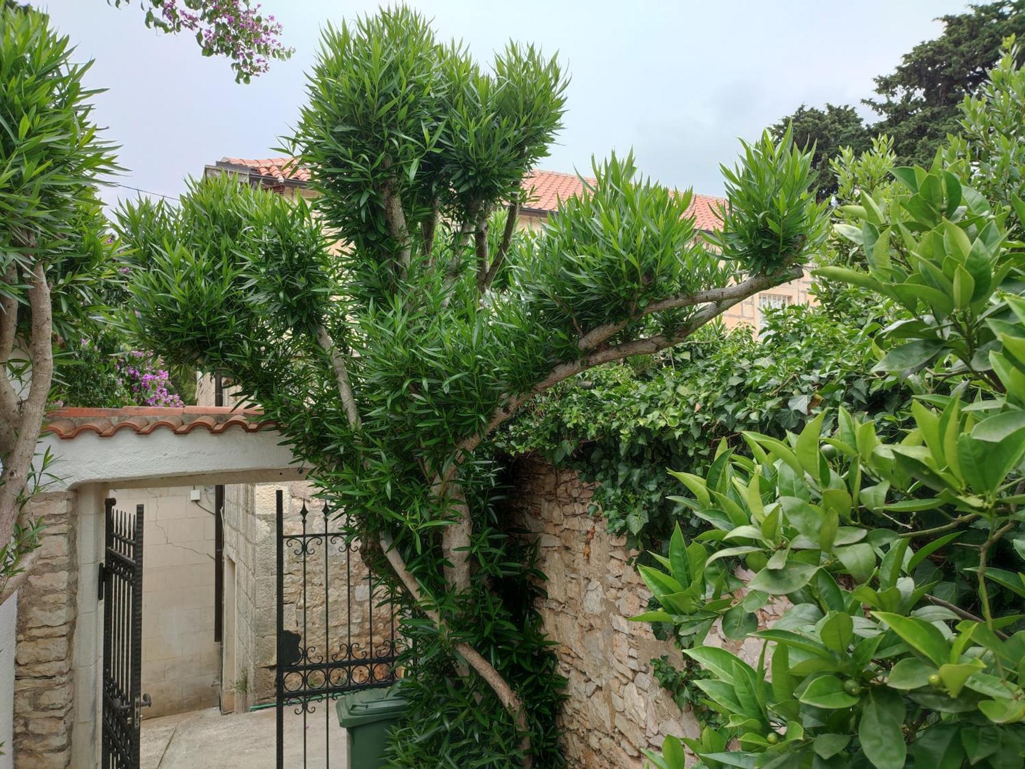 Villa Rustika 苏提万 外观 照片